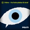 Vidne - fra forbrydelse til straf