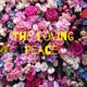 The Loving Peace Wellness ❤️