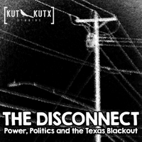 The Disconnect: Power, Politics and the Texas Blackout podcast