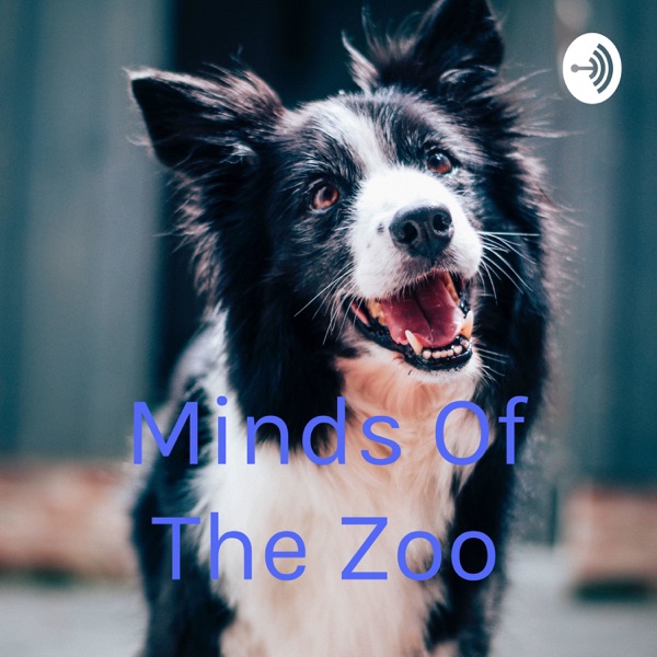 Minds Of The Zoo Artwork