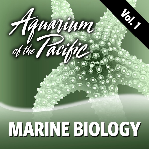 Marine Biology Vol. 1 Artwork