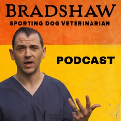 #2 - Larry McMurry - Jonathan Bradshaw Sporting Dog Veterinary Podcast