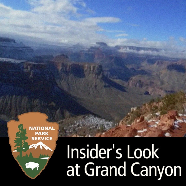 Insider's Look at Grand Canyon, Video Artwork