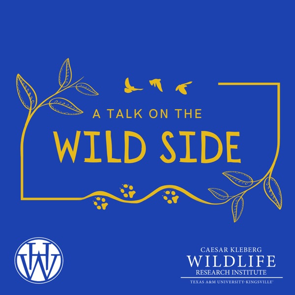A Talk on the Wild Side Artwork
