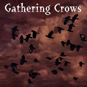 Gathering Crows