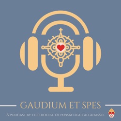 Episode 82 - Gaudium et Spes: A Teaching from Bishop Wack on Holy Days of Obligation