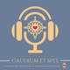 Episode 86 - Gaudium et Spes: A Teaching from Bishop Wack on the Twelve Apostles (Part 1)