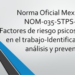 NOM-035-STPS-2018 Factores de riesgo