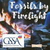 Fossils by Firelight - GSSA artwork