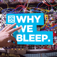 WHY WE BLEEP 030: JAMIE LIDELL