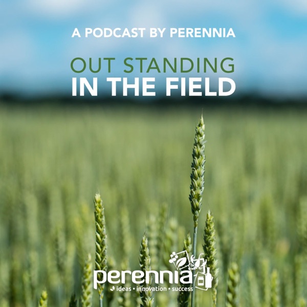 Out Standing in the Field: A Podcast by Perennia Artwork
