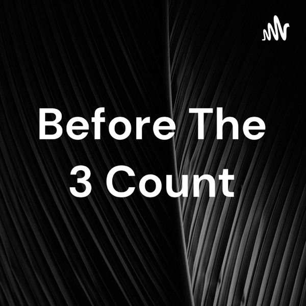 Before The 3 Count Artwork