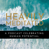 Stop Meditating with Dan Mangena  