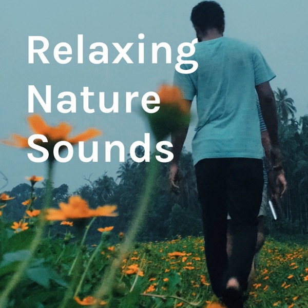 Relaxing Nature Sounds