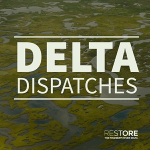 Delta Dispatches