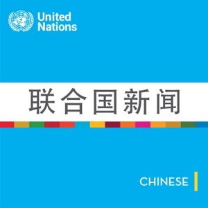 联合国新闻