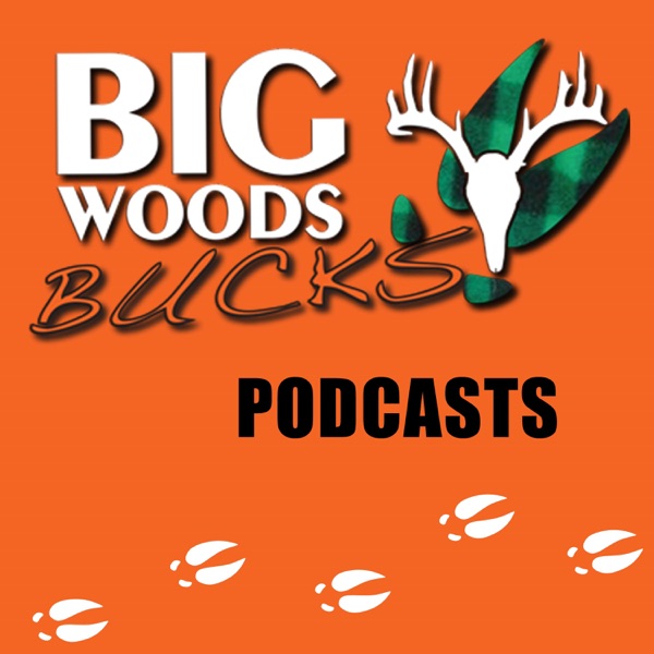 Big Woods Bucks - Deer Hunting -Education & Entertainment