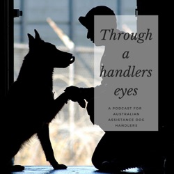 Through a handlers eyes.