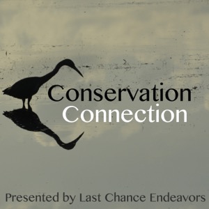 Conservation Connection