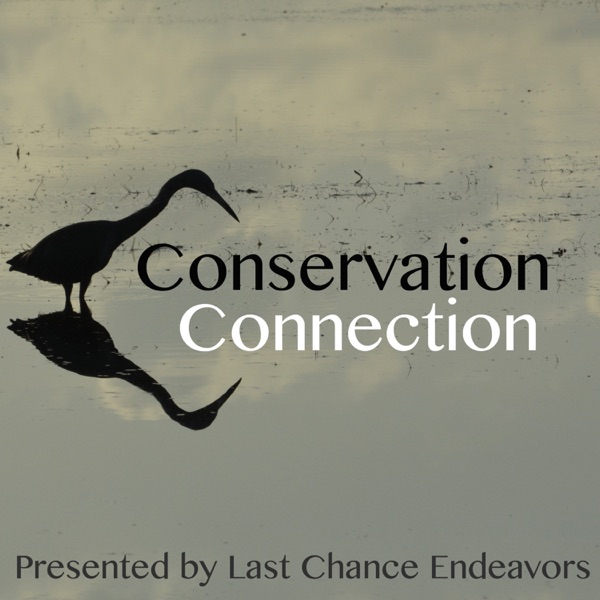 Conservation Connection Podcast Image