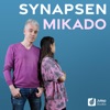 Mittermeiers Synapsen Mikado - Gespräche mit einer 14-Jährigen