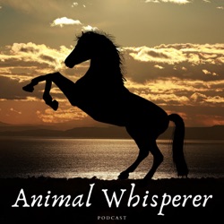 Animal Whisperer Podcast # 100 