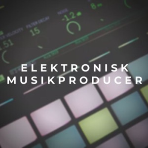 Elektronisk musikproducer