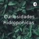 Historia de la hidroponia