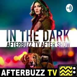 The In The Dark Podcast