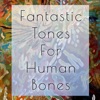 Fantastic Tones for Human Bones artwork