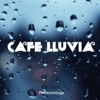 Café Lluvia artwork