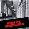 Inside the Prison World artwork