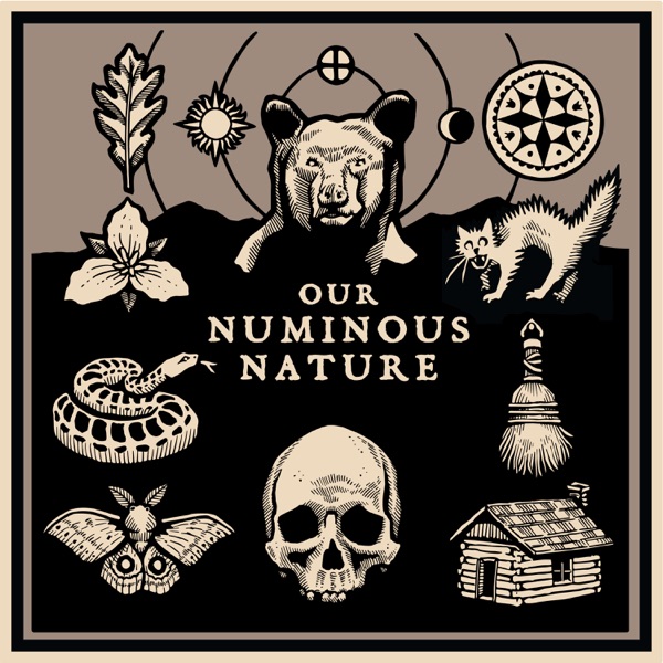 Our Numinous Nature