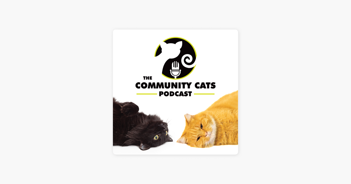The Community Cats Podcast: Karen Anderson, Animal Communicator, Afterlife  Expert, and Coach on Apple Podcasts