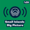 Small Islands Big Picture - ODI Resilient and Sustainable Islands Initiative (RESI)
