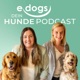 edogs - Dein Hunde Podcast