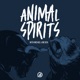 Animal Spirits Podcast