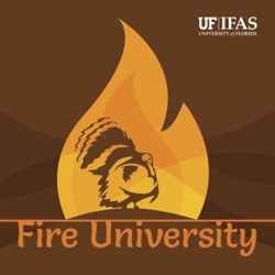#31 | A conversation with fire experts from all over the U.S.