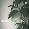 Glass of Grass  artwork