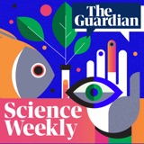 Manifestation: why the pandemic had many of us seeing ghosts - Science Weekly podcast podcast episode