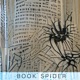 Book Spider