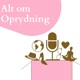 Alt om oprydning 