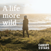 A Life More Wild - Canopy & Stars