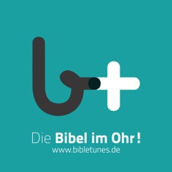 Levitikus | Einführung – Teil 2: Die Jesus-Brille