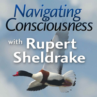 Navigating Consciousness with Rupert Sheldrake podcast