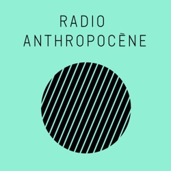 Radio Anthropocène à la rencontre de la photographie - Arles 2023 