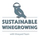 267: Your Green Wine Glossary | Marketing Tip Monday