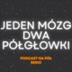 Jeden mózg, dwa półgłówki #03 - Remake/remaster po co to komu? Część 1/2