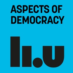 Public participation in democratic processes