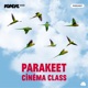 PARAKEET CINEMA CLASS